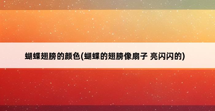 蝴蝶翅膀的颜色(蝴蝶的翅膀像扇子 亮闪闪的) 